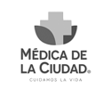 logo-3-MDLC